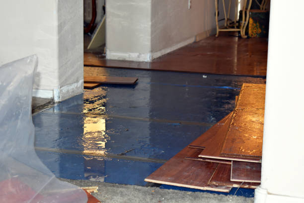 Professional Emergency Water Damage Restoration technician working in La Grange, TX
